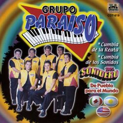 Cover of De Puebla para el Mundo (100% Sonidero Poblano)