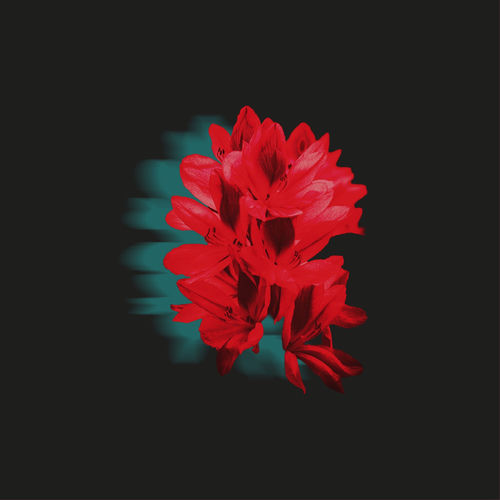 Only You artwork