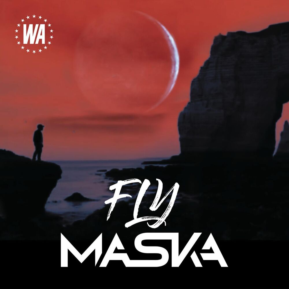 Picture of Fly