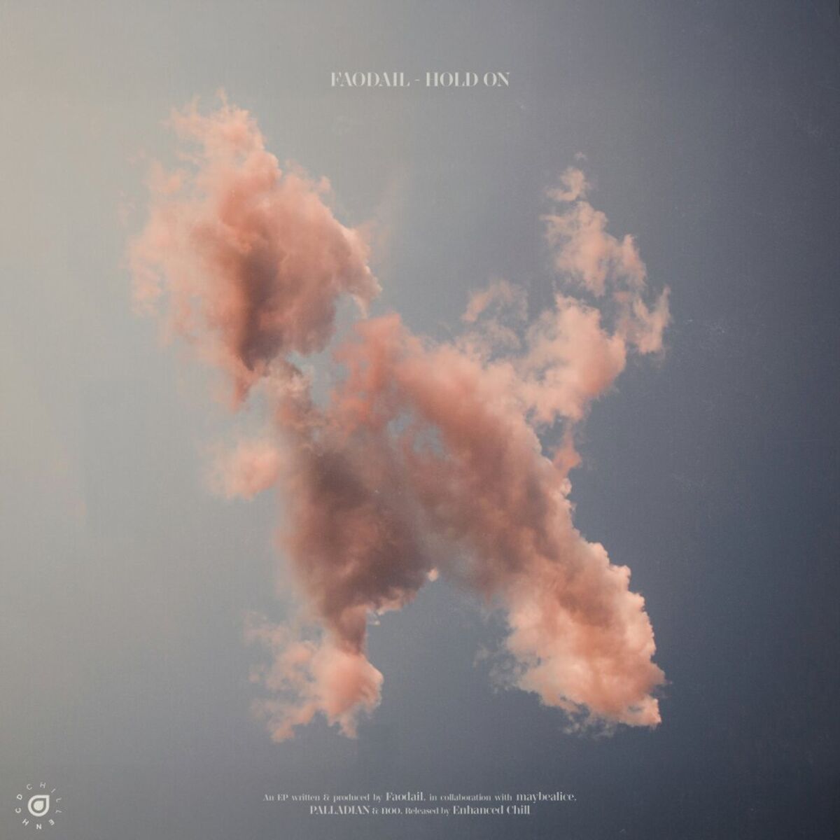 Album cover of Hold On