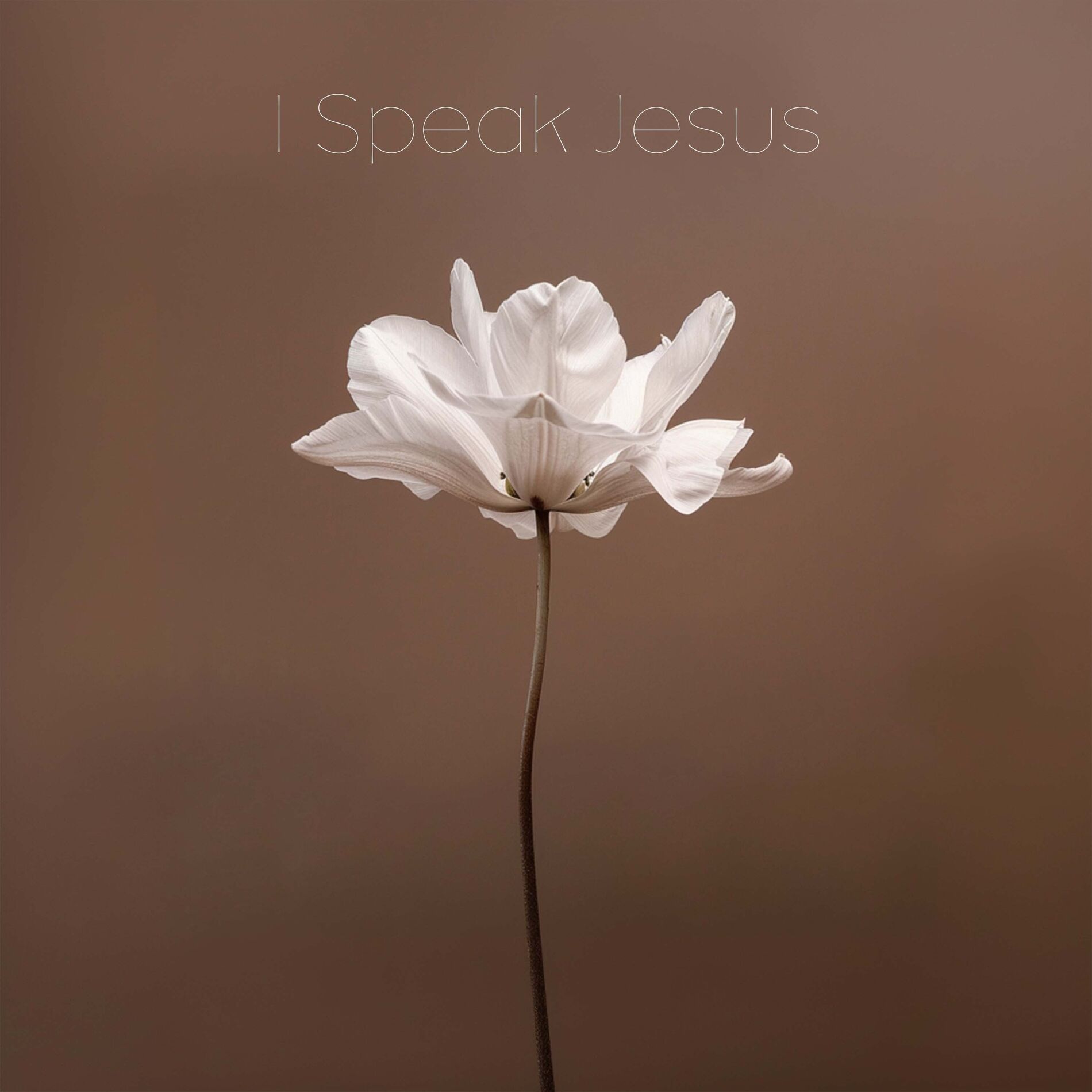 Album cover of I Speak Jesus