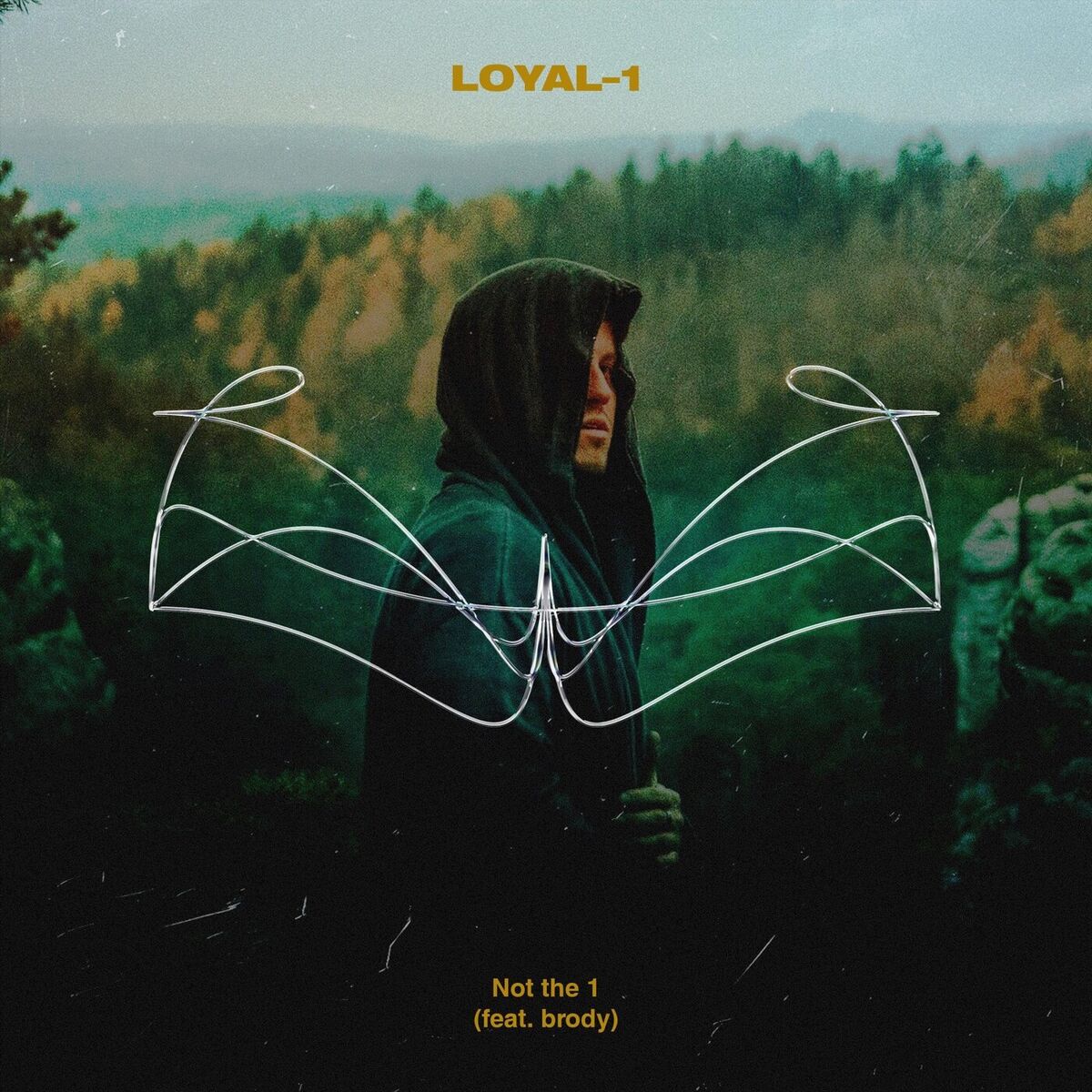 Album cover of Not the 1