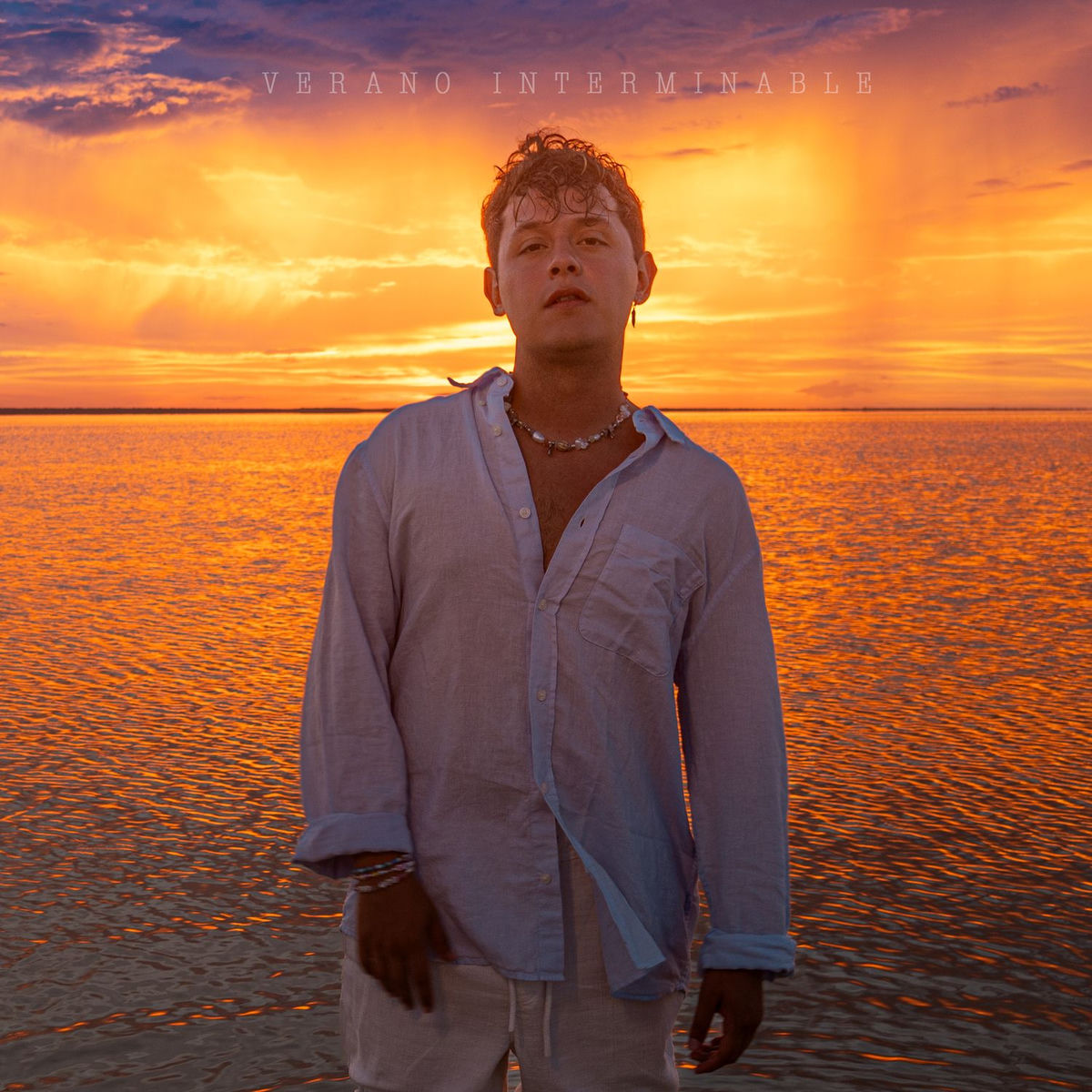 Album cover of Verano Interminable