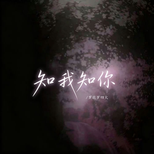知我知你