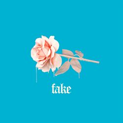 Cover of Fake