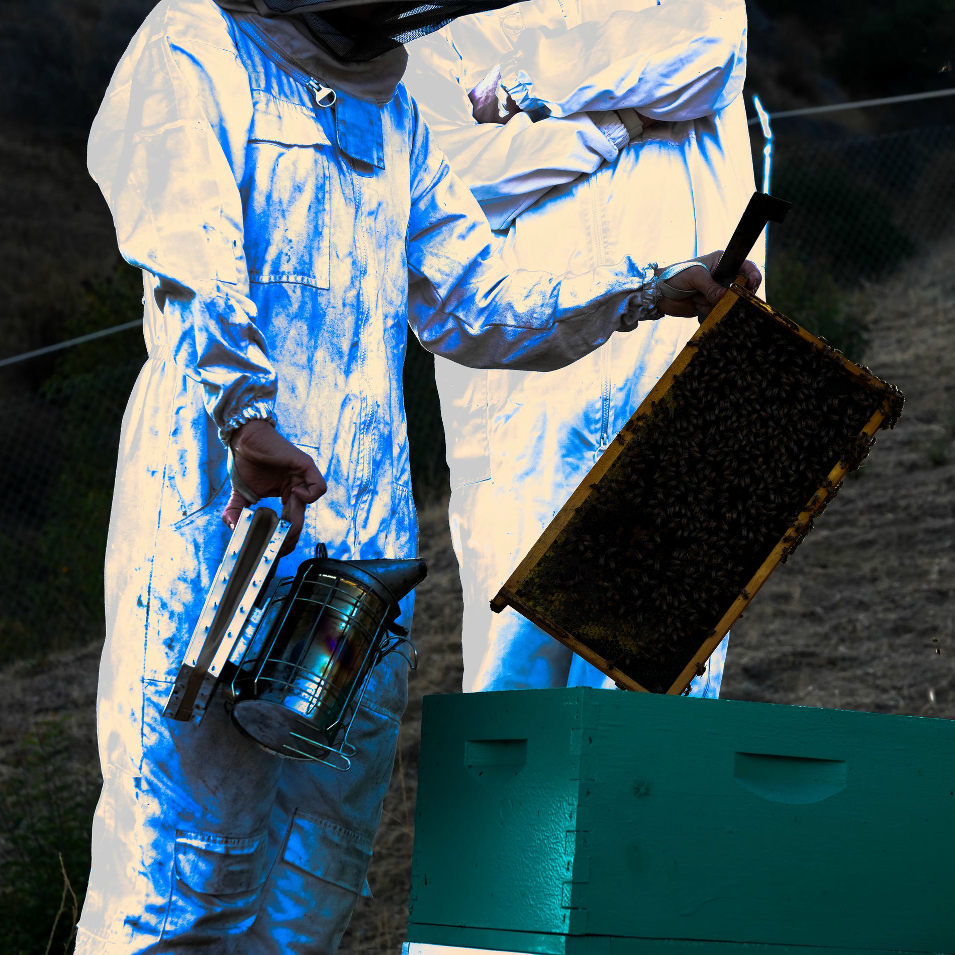 Album cover of swarm