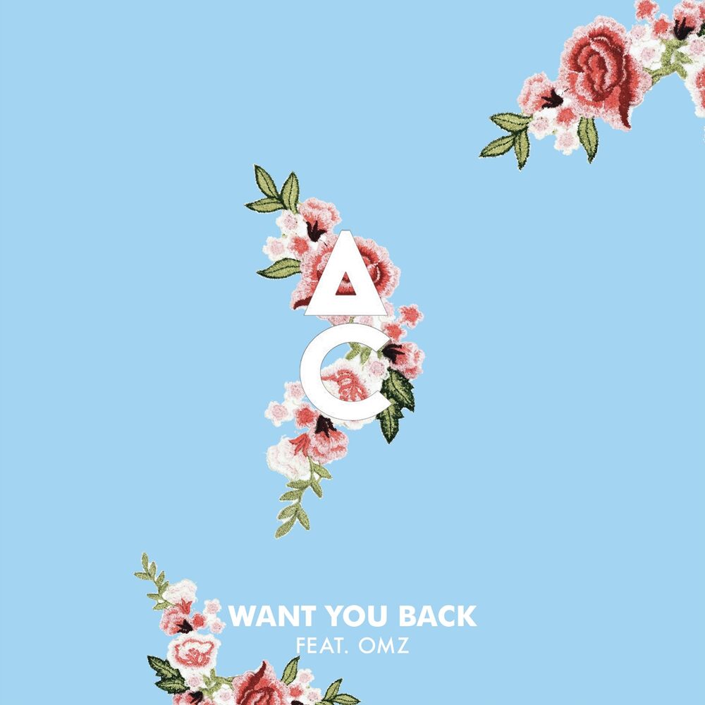 Picture of Want You Back