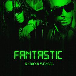 Cover of Fantastic
