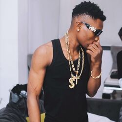 Cover of Pains 2
