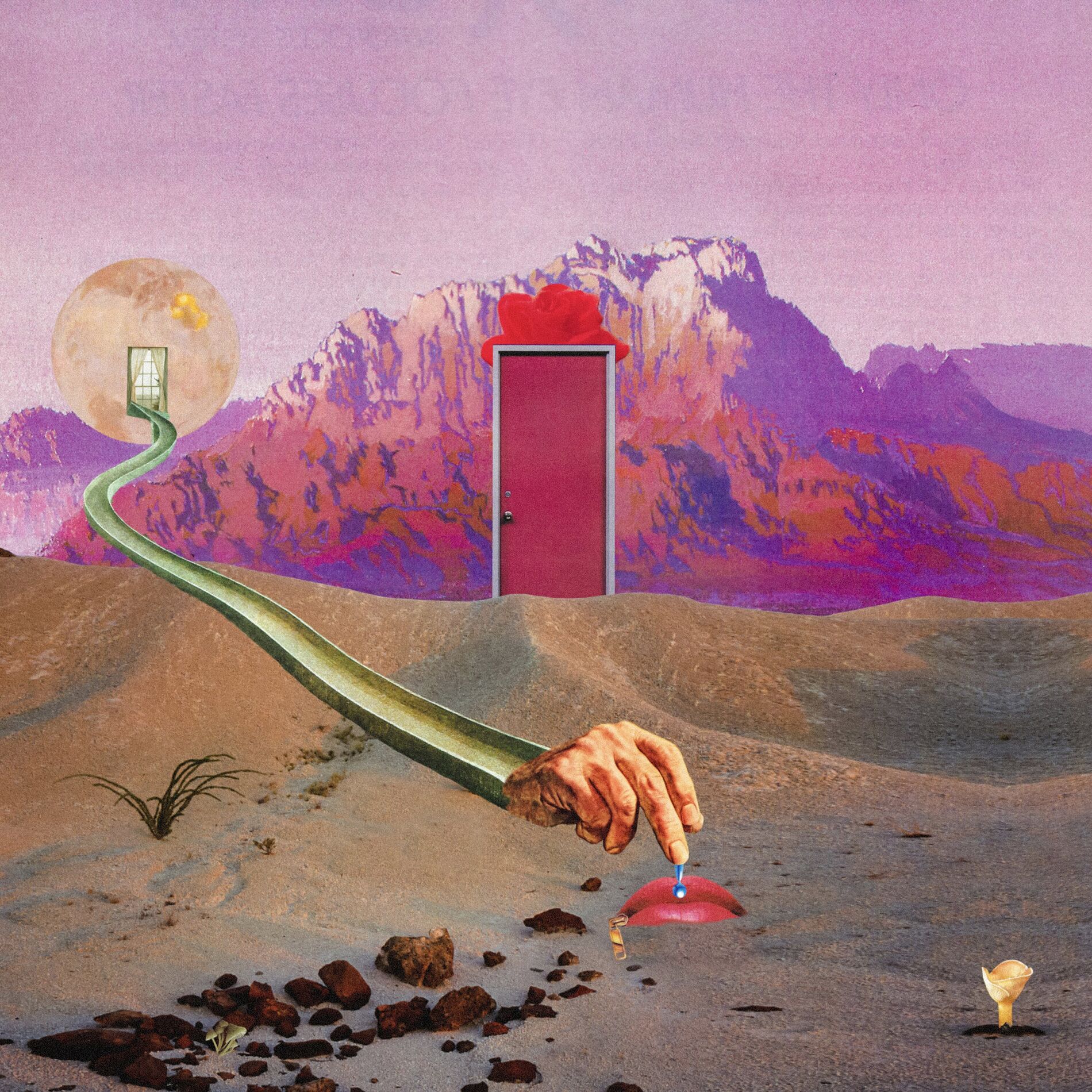 Album cover of Diorama