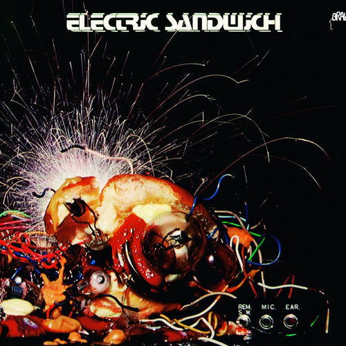 Electric Sandwich sleeve