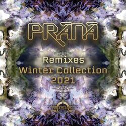Cover of Winter Collection 2021 (Remixes)