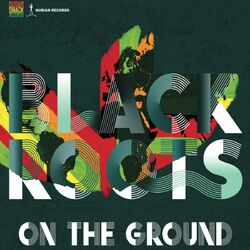 Cover of On the Ground