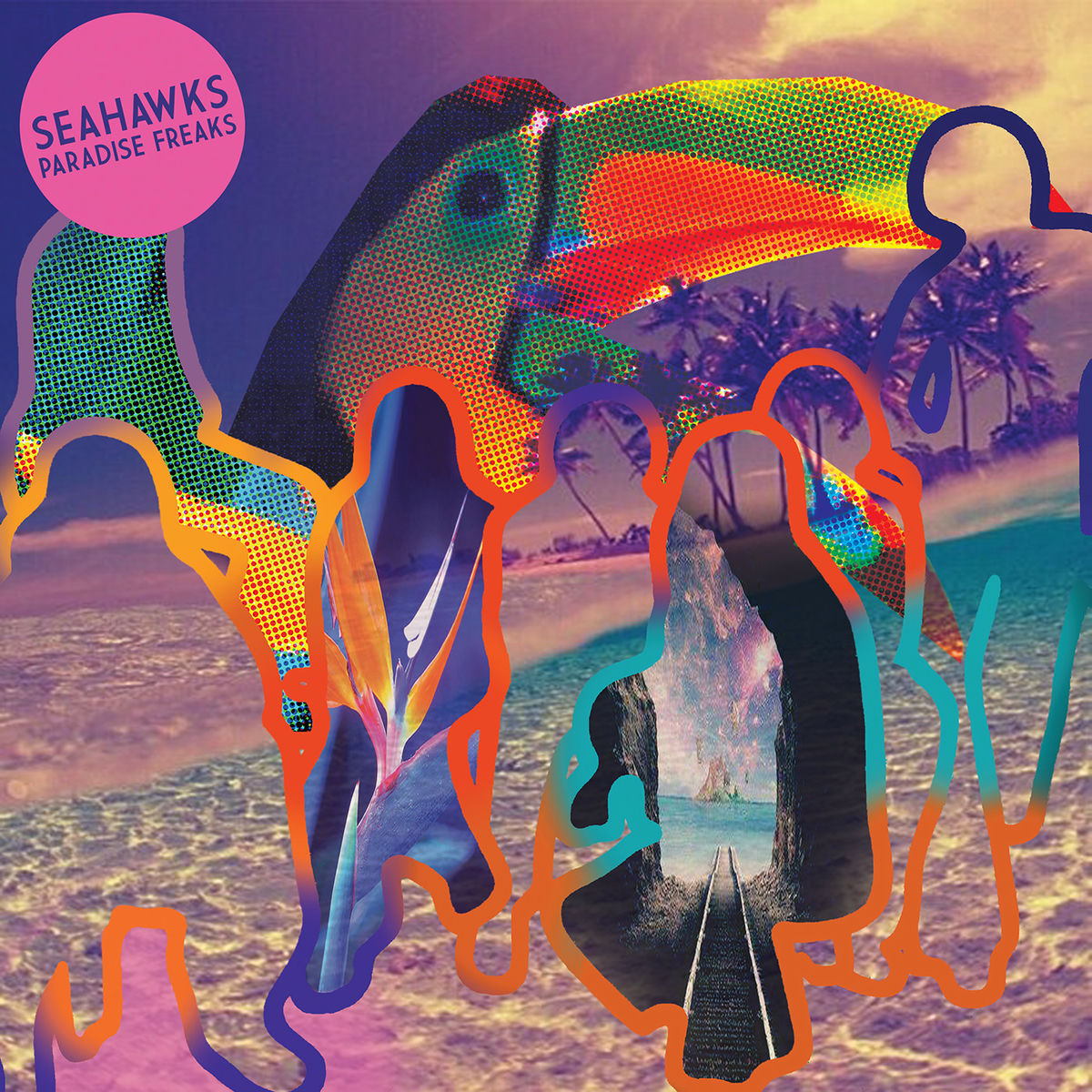 Album cover of Paradise Freaks