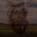 Free Sheep