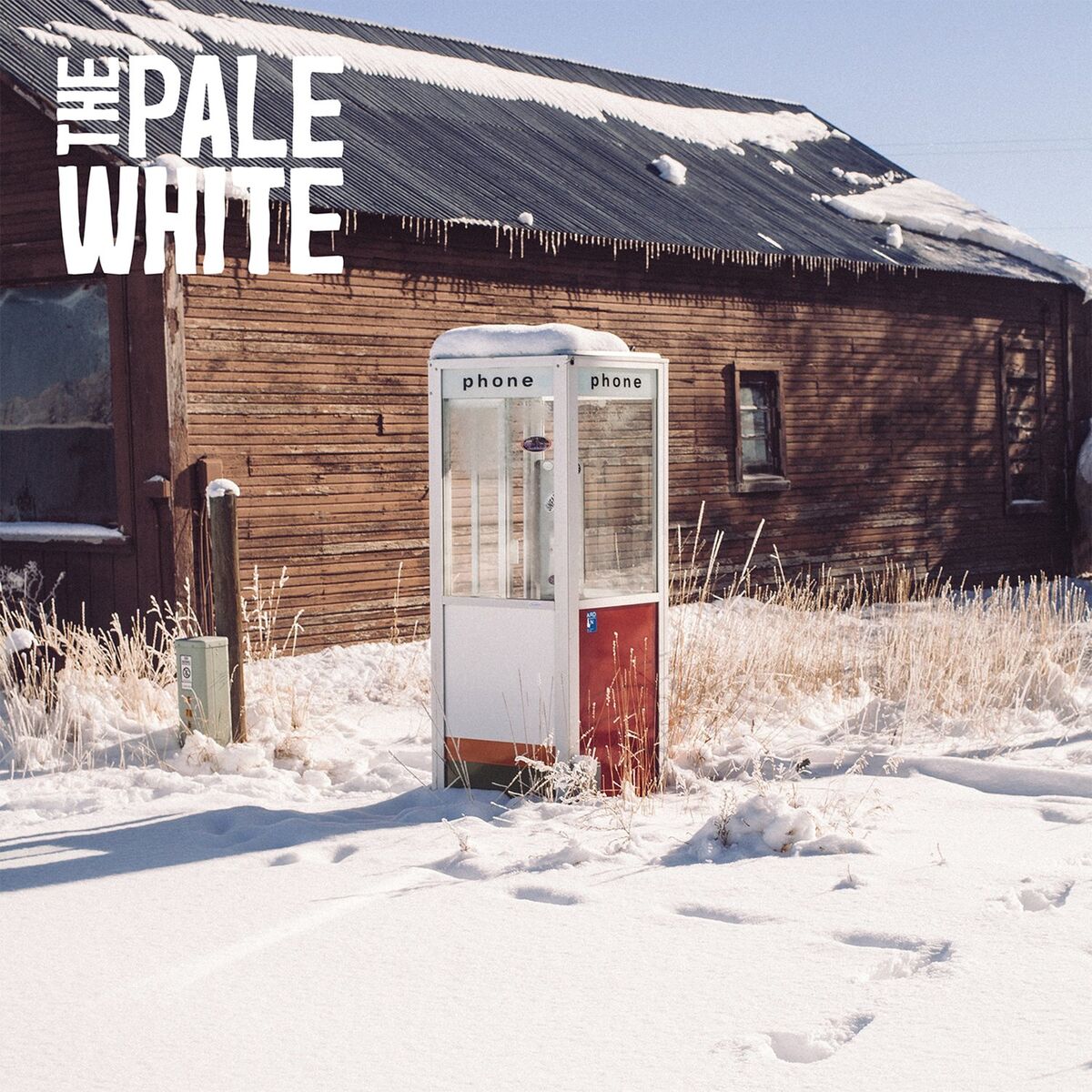 Album cover of The Pale White