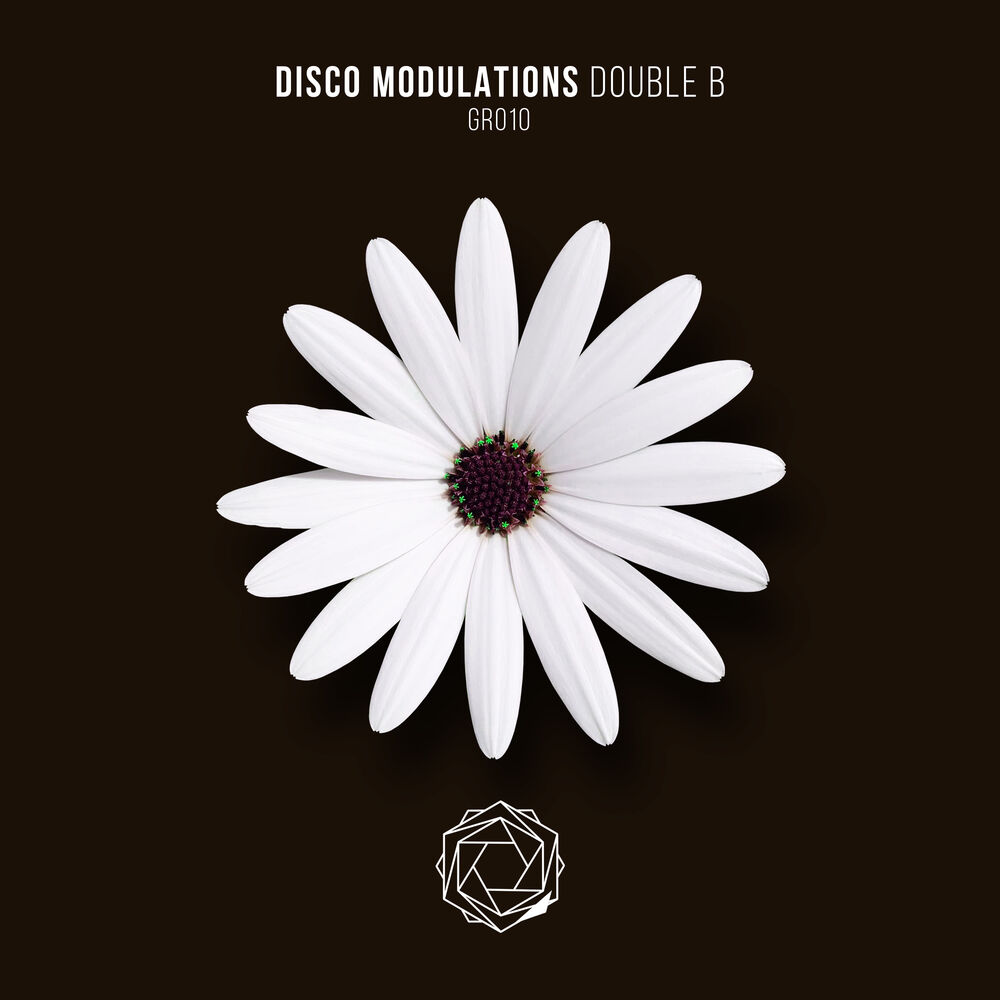 Picture of Disco Modulations