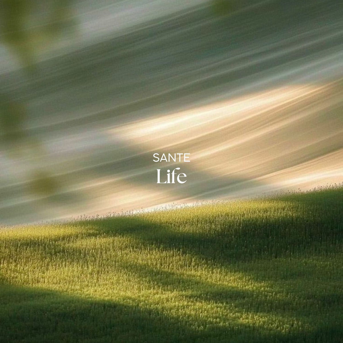 Album cover of Life