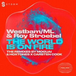 Cover of The World Is On Fire Remixes