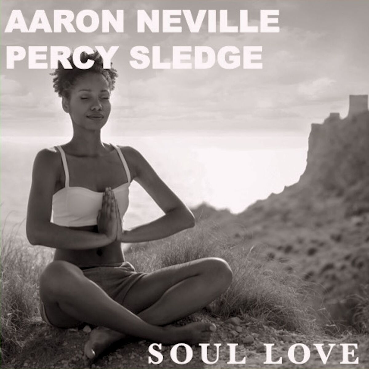 Album cover of Soul Love