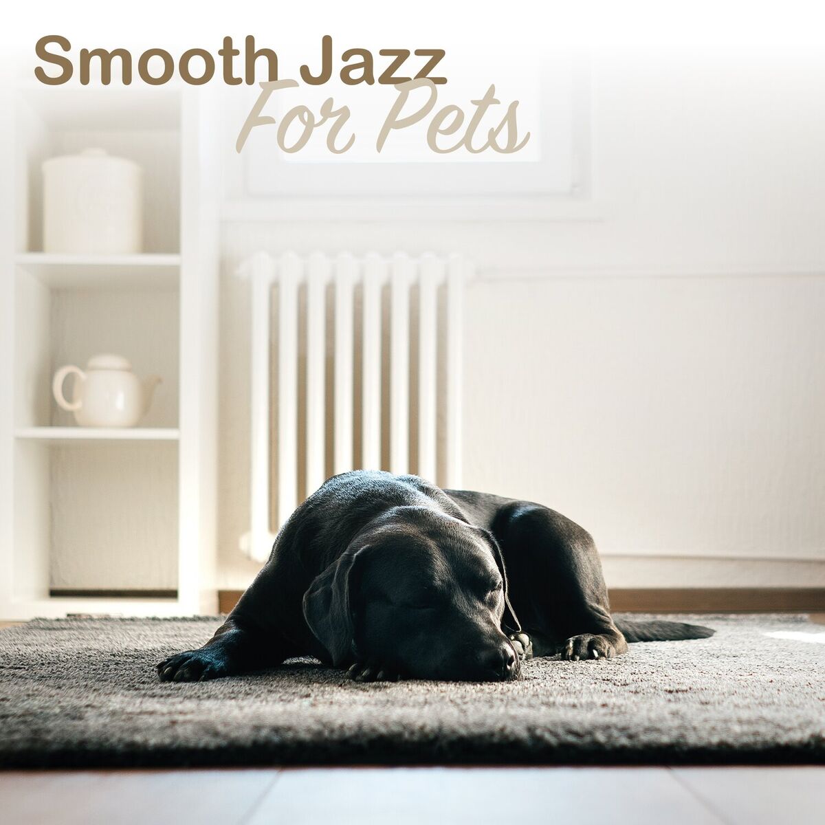 Album cover of The Way She Moves