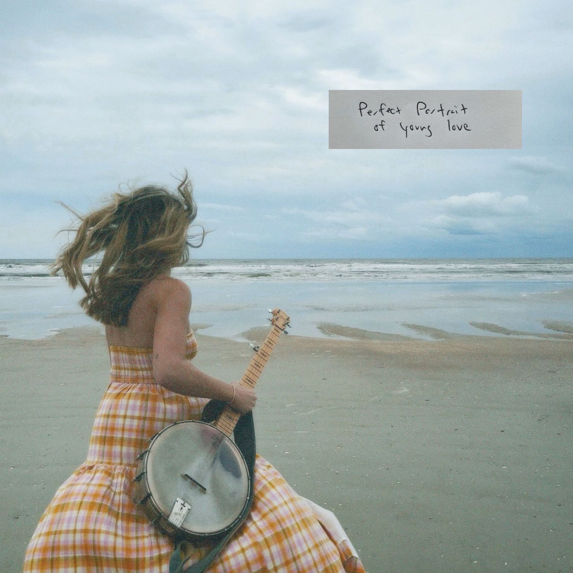 Album cover of Perfect Portrait of Young Love
