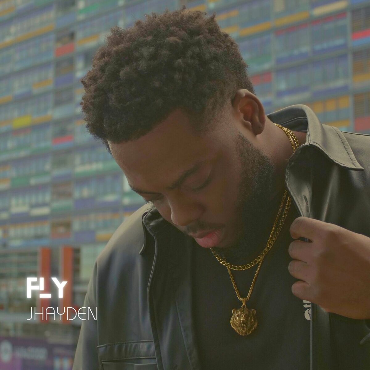 Album cover of Fly