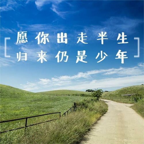 独家限定
