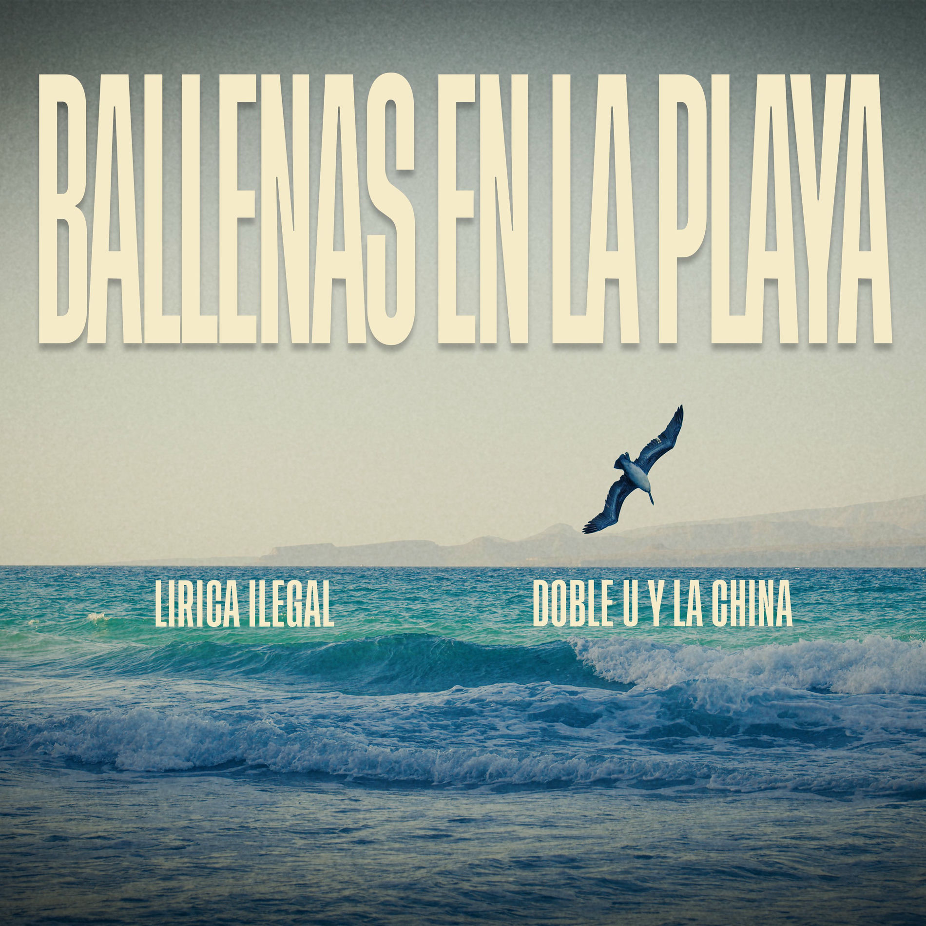 Album cover of Ballenas en la Playa