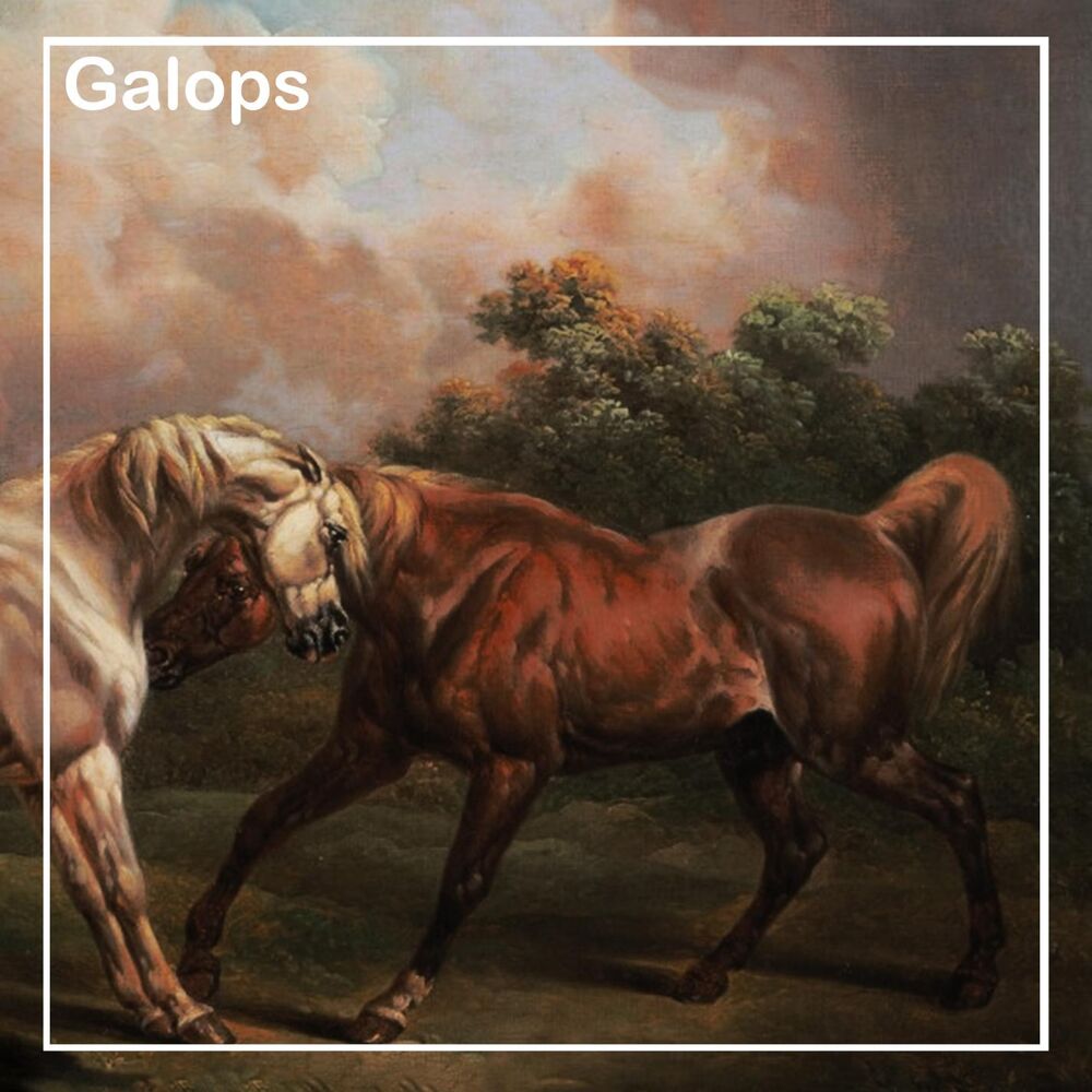 Picture of Galops