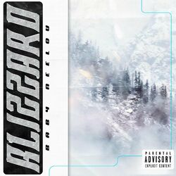 Cover of Blizzard