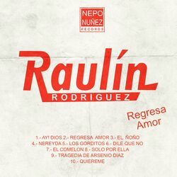 Cover of Regresa Amor