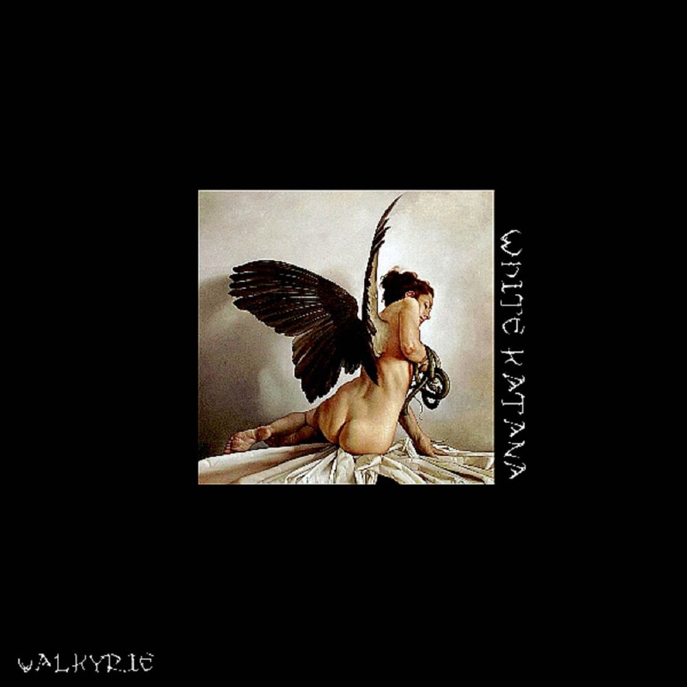 Picture of VALKYRIE