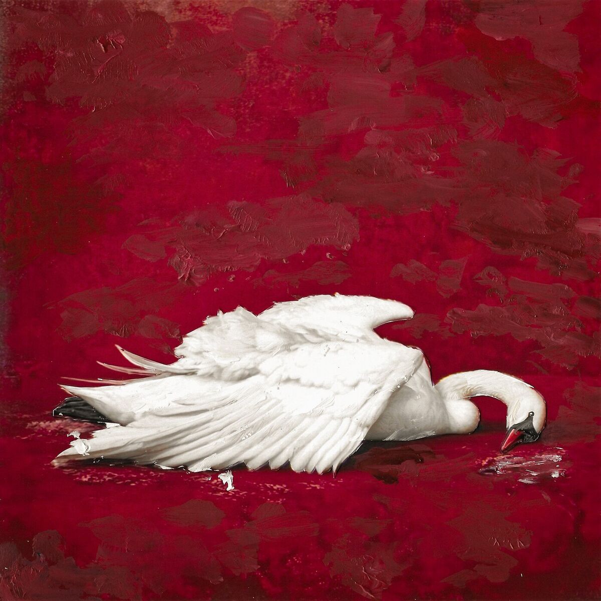 Album cover of SEVGİ