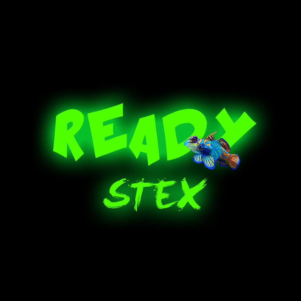 Picture of Ready