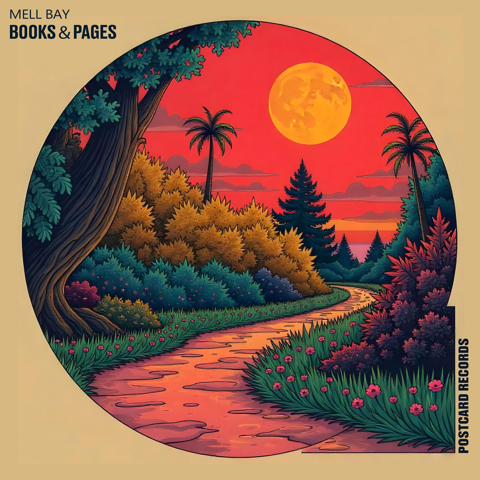 Album cover of Soft Chapter