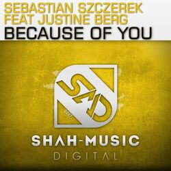 Cover of Because of You
