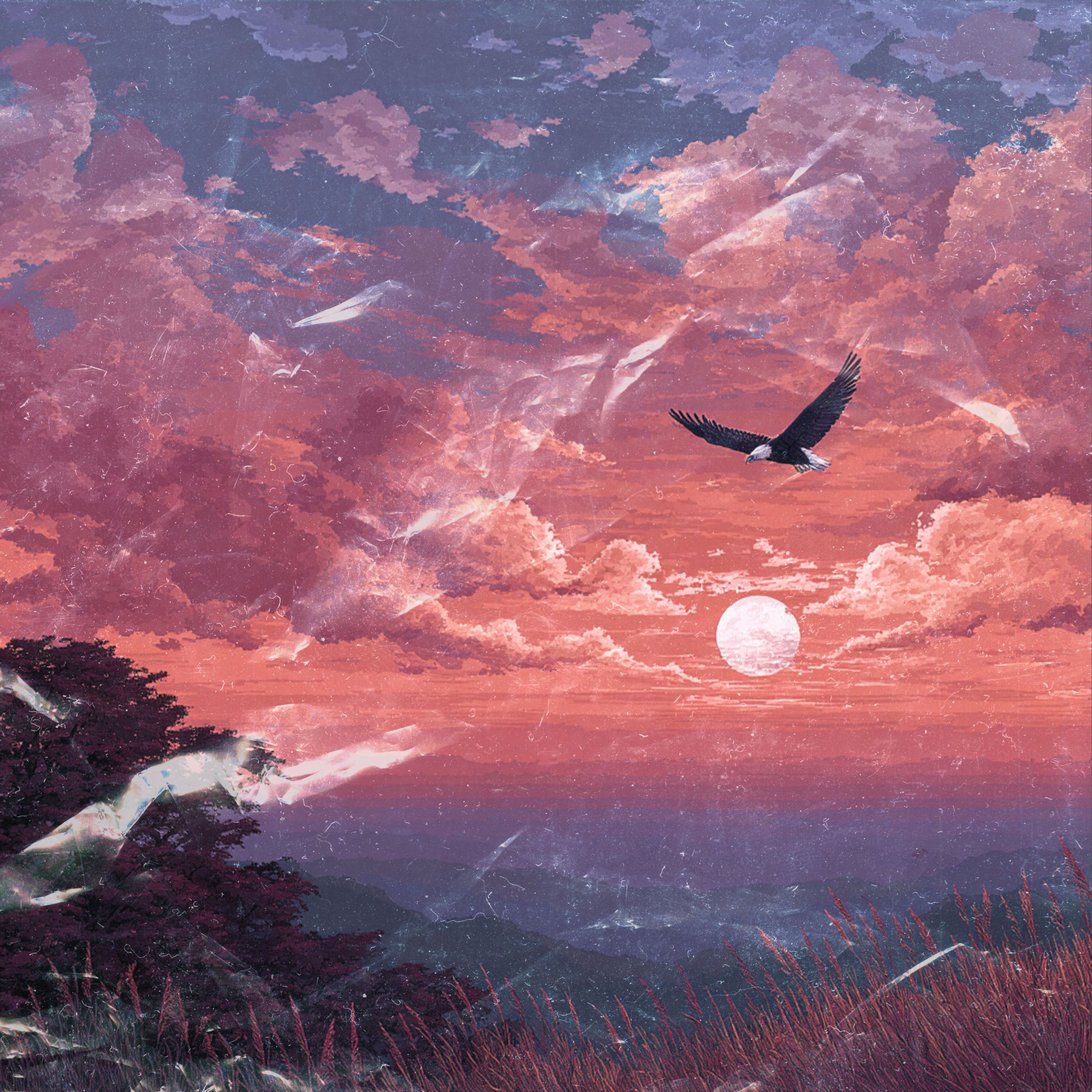 Album cover of Aquila