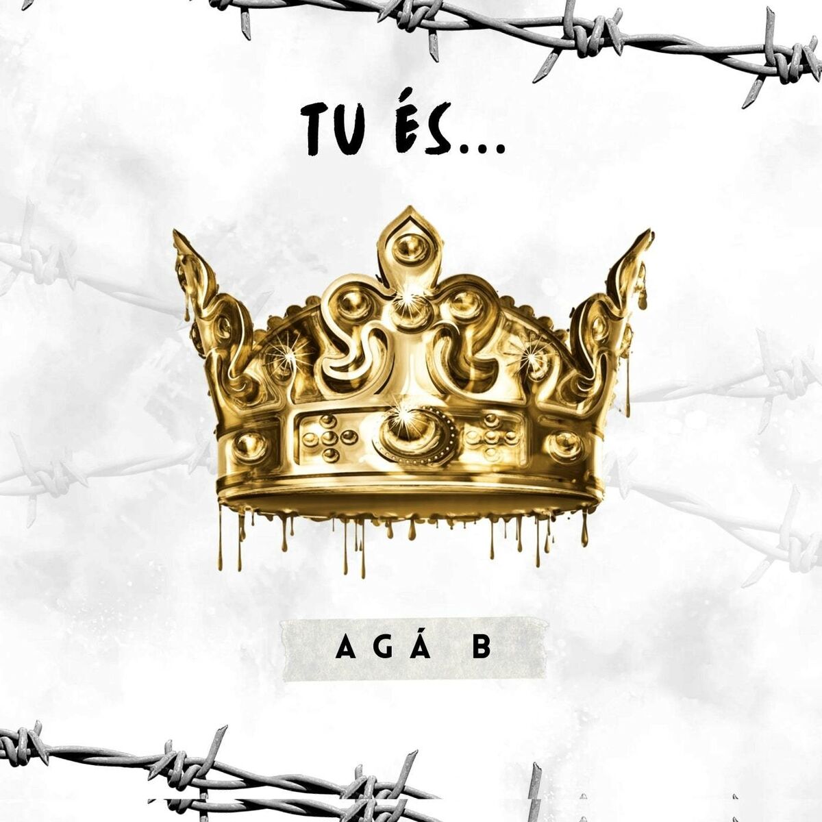 Album cover of Tu És...