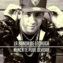 Cover of Nunca Te Pude Olvidar