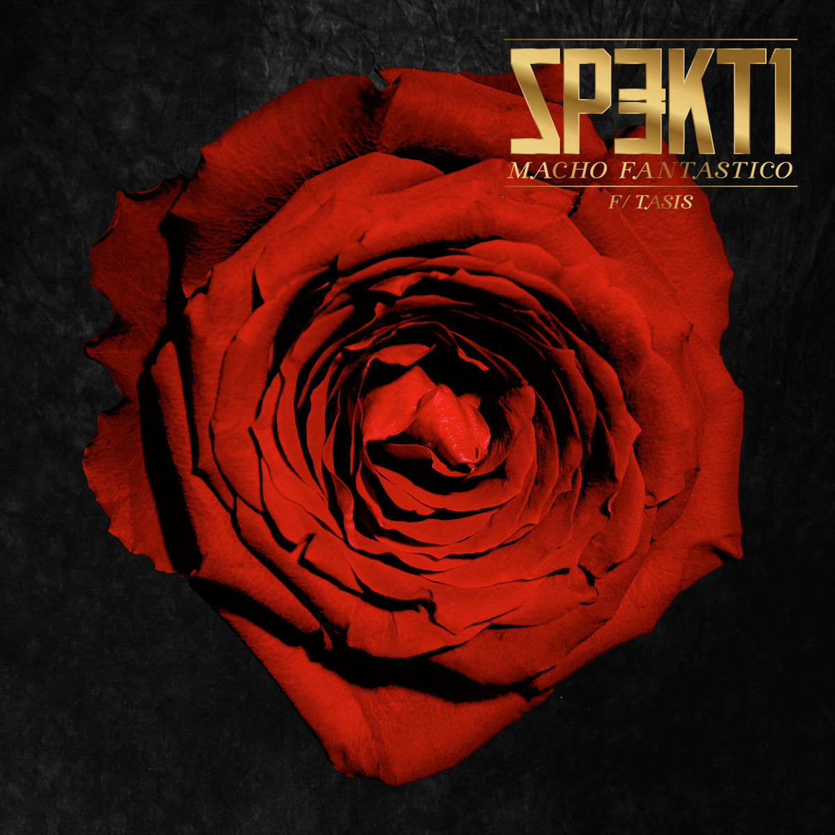 Album cover of Macho Fantastico