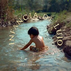 Cover of Infancia de Lujo