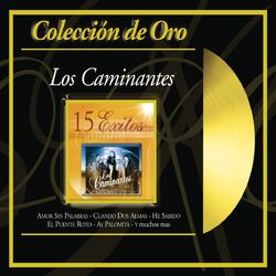 Cover of Coleccion de Oro