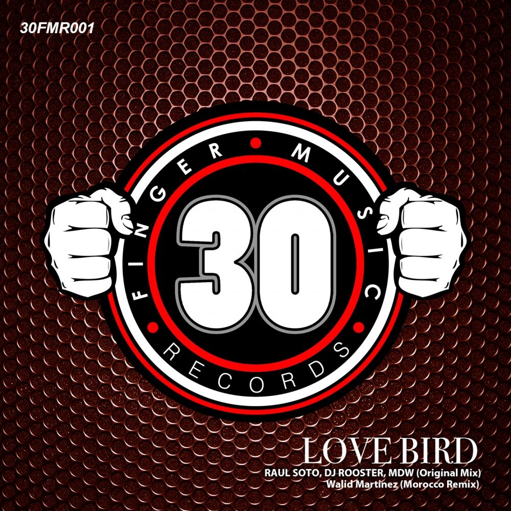 Picture of Love Bird