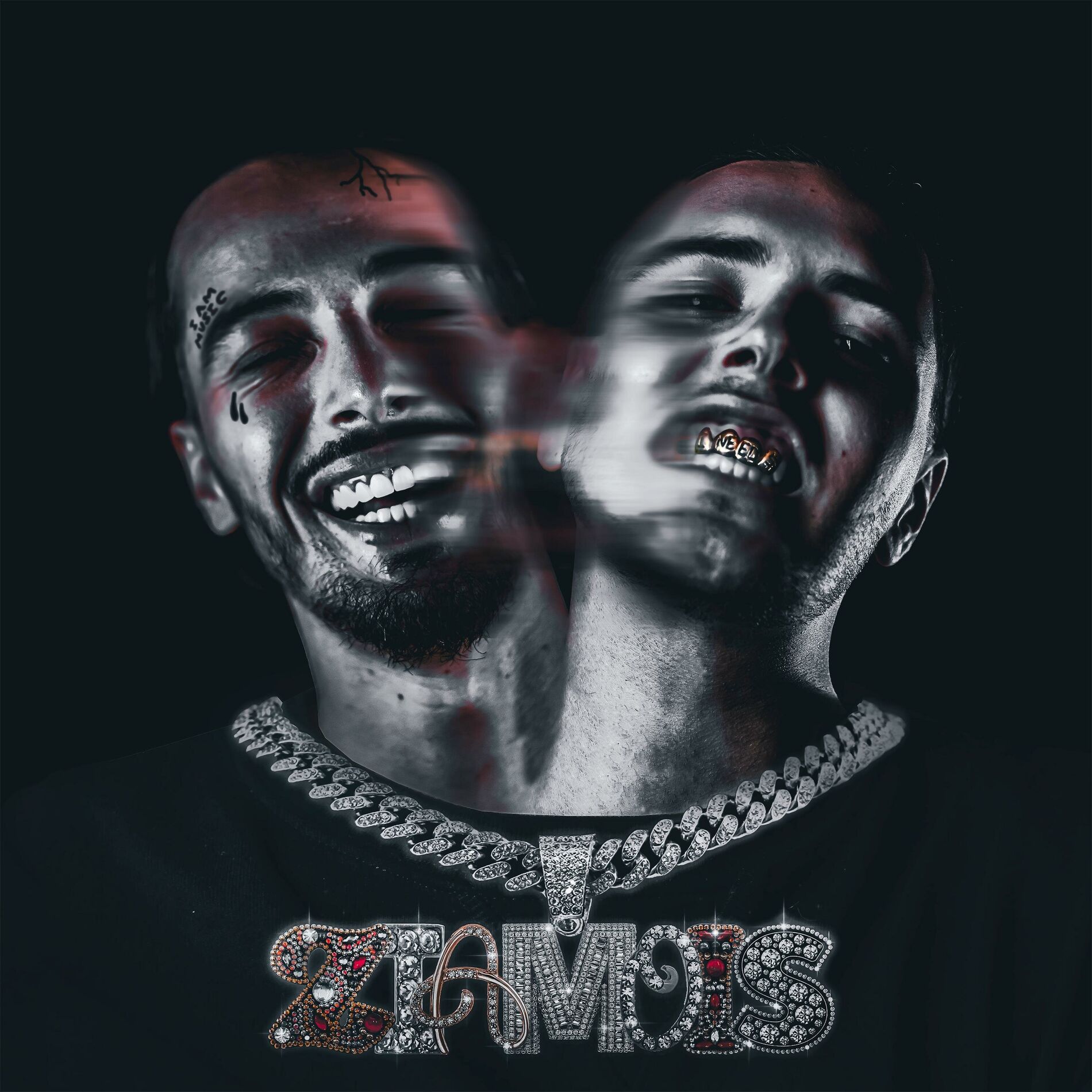 Album cover of Ziamois