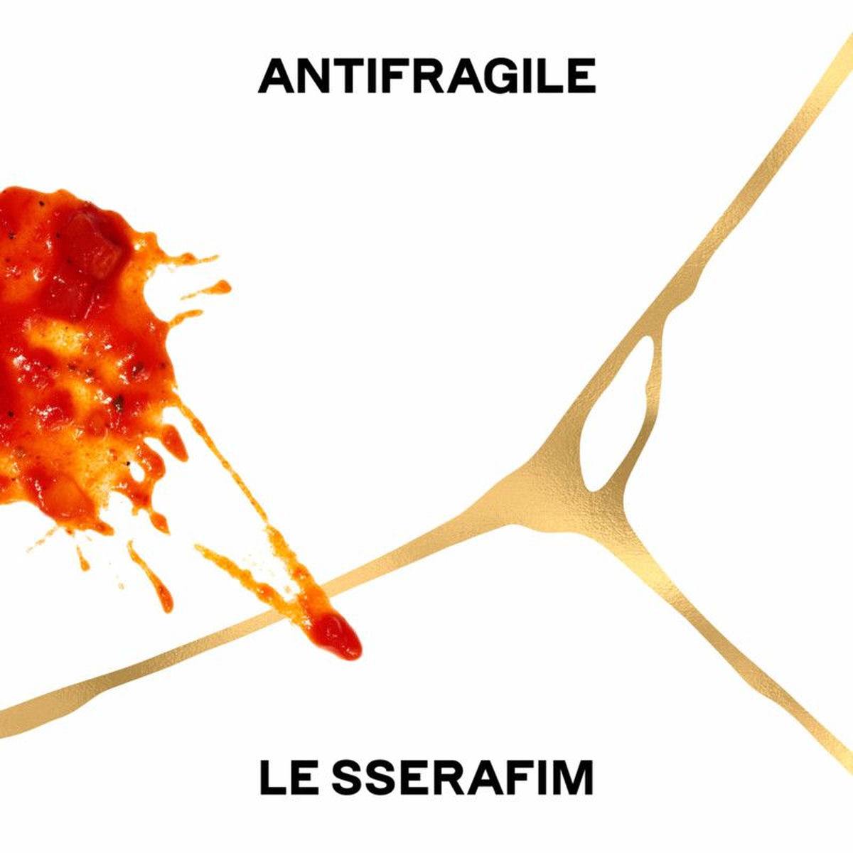 Album cover of ANTIFRAGILE