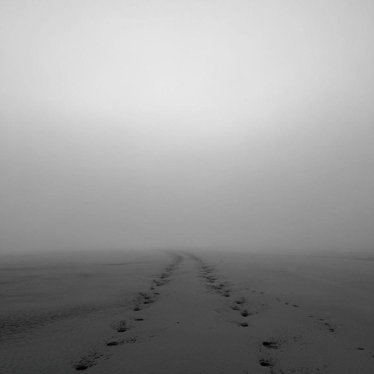 Album cover of ghost