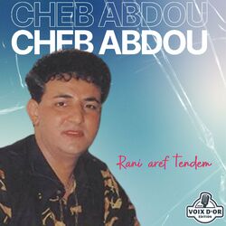 Cover of Rani aref tendem