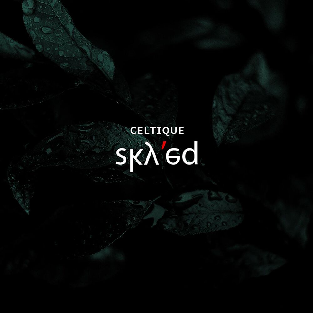 Picture of Sky'ed
