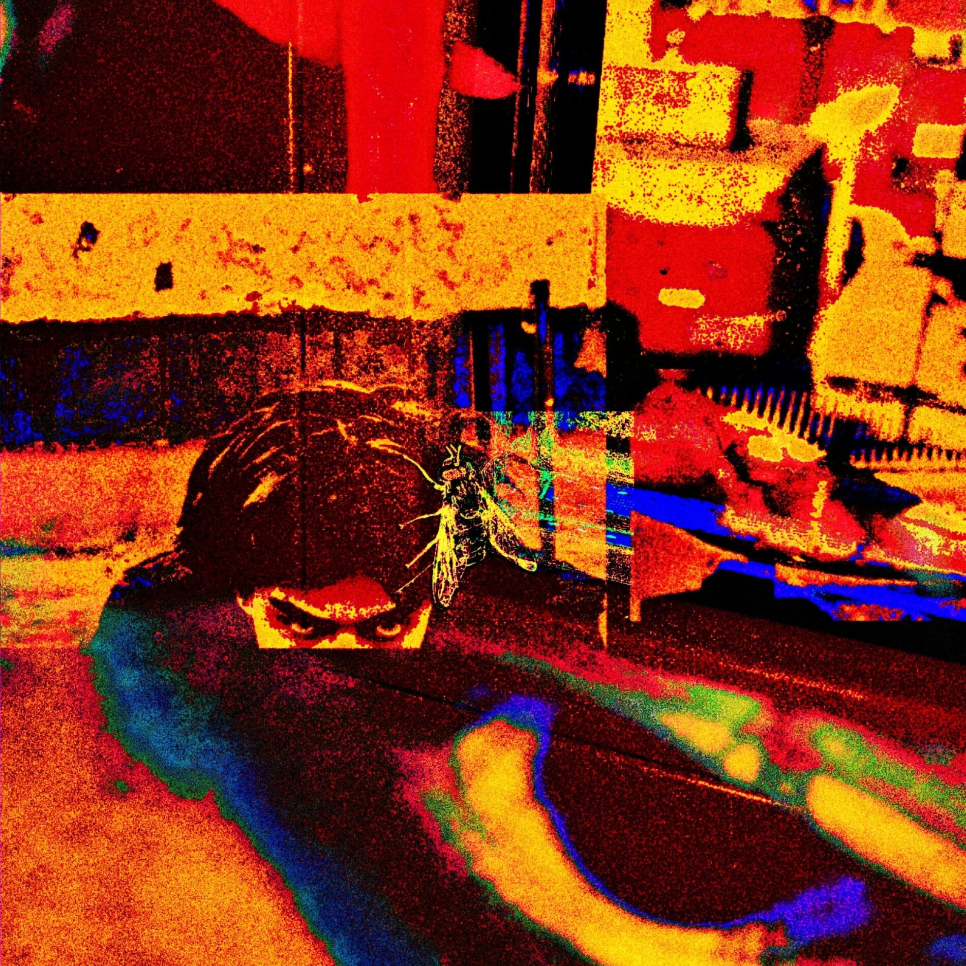 Album cover of Bec0Me1!